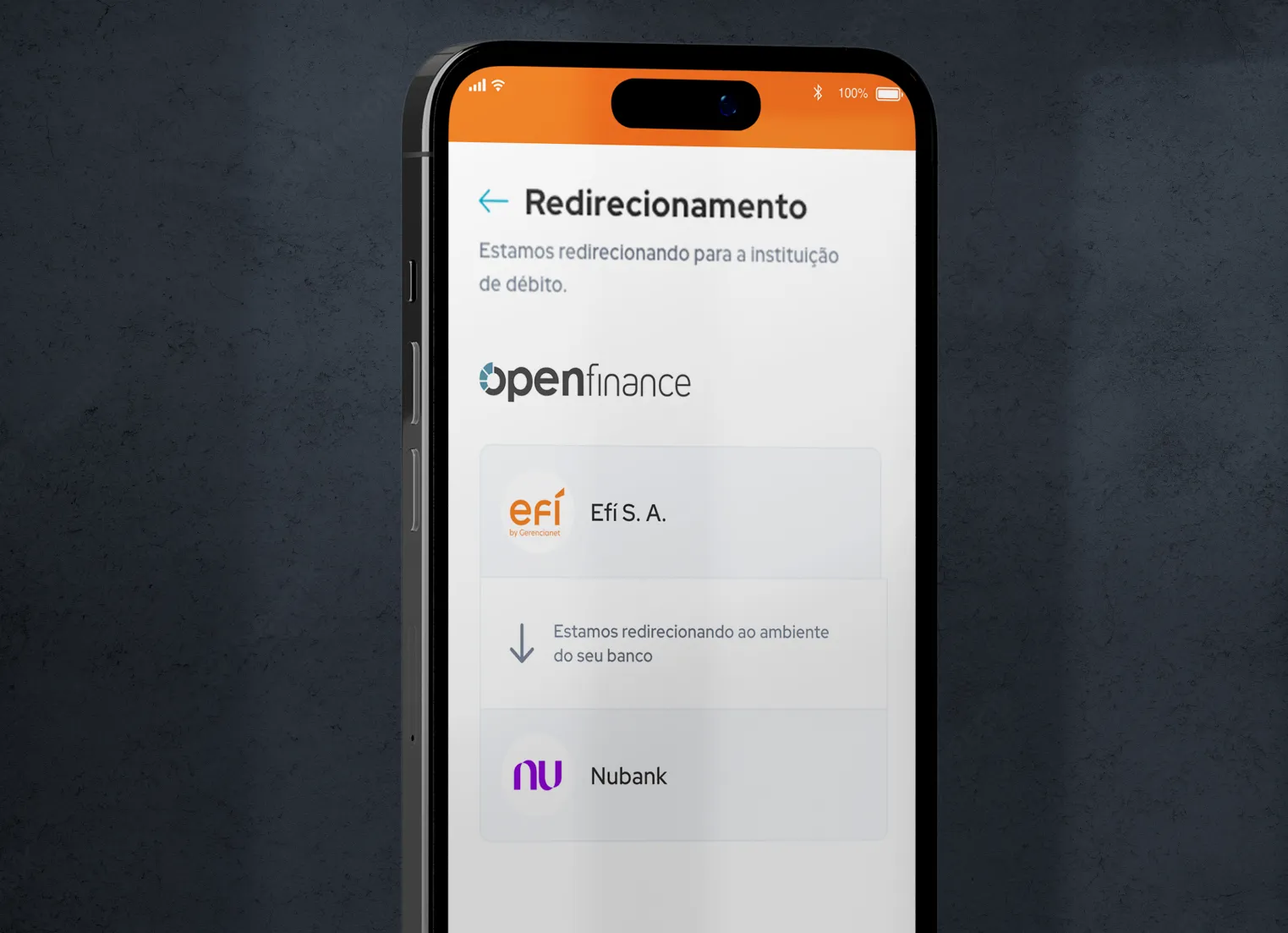 Tela 3 do Open Finance