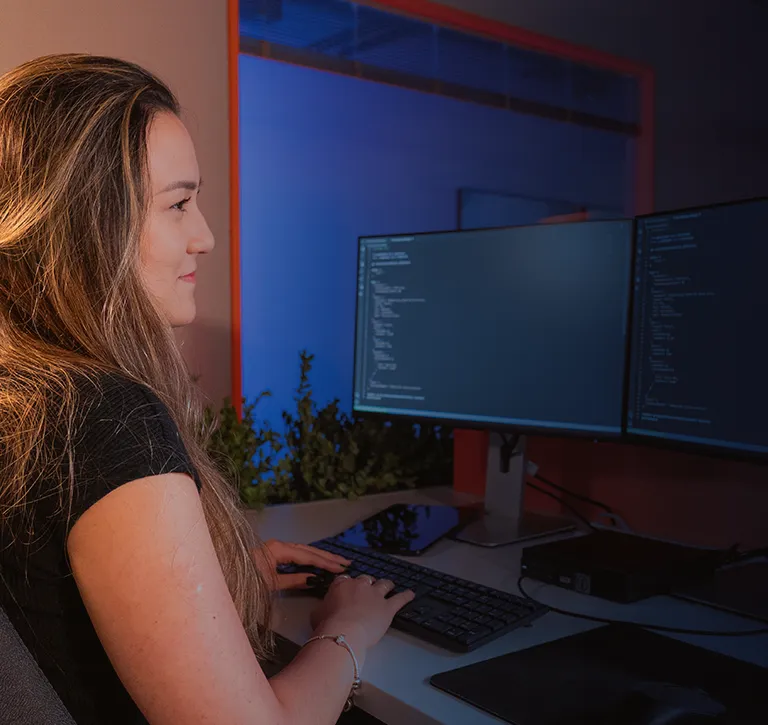 Imagem temática da primeira seção