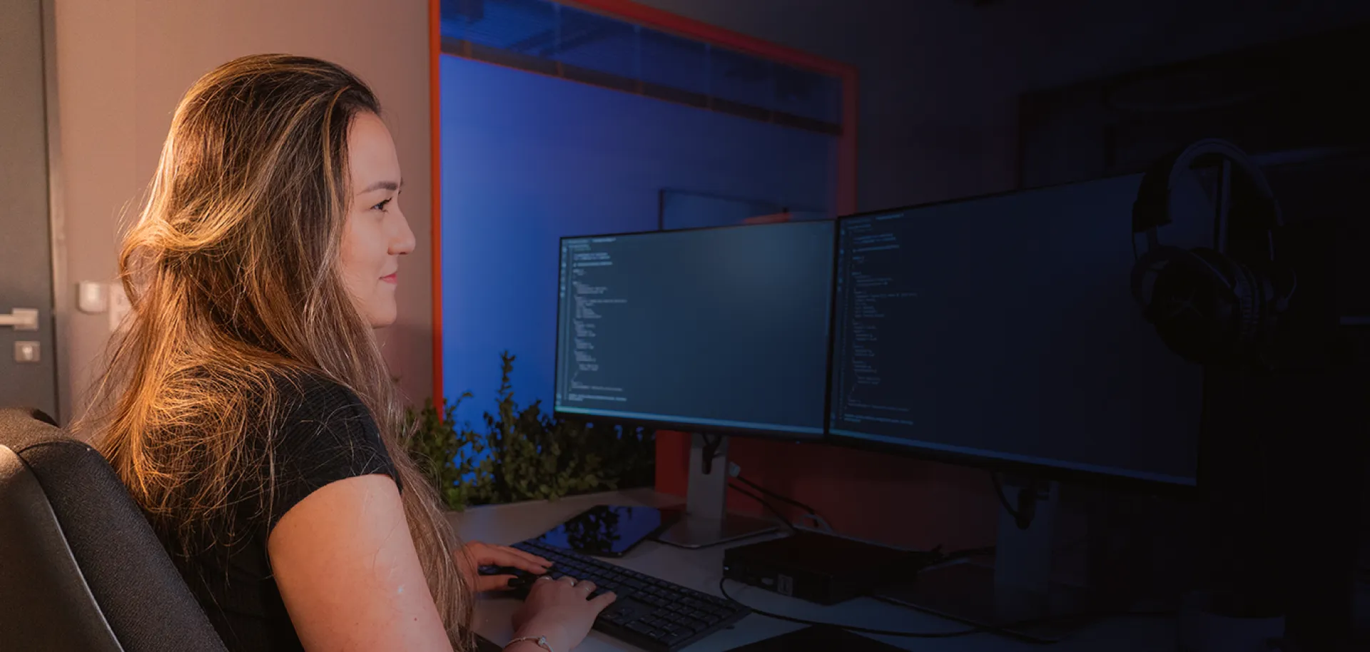 Imagem temática da primeira seção